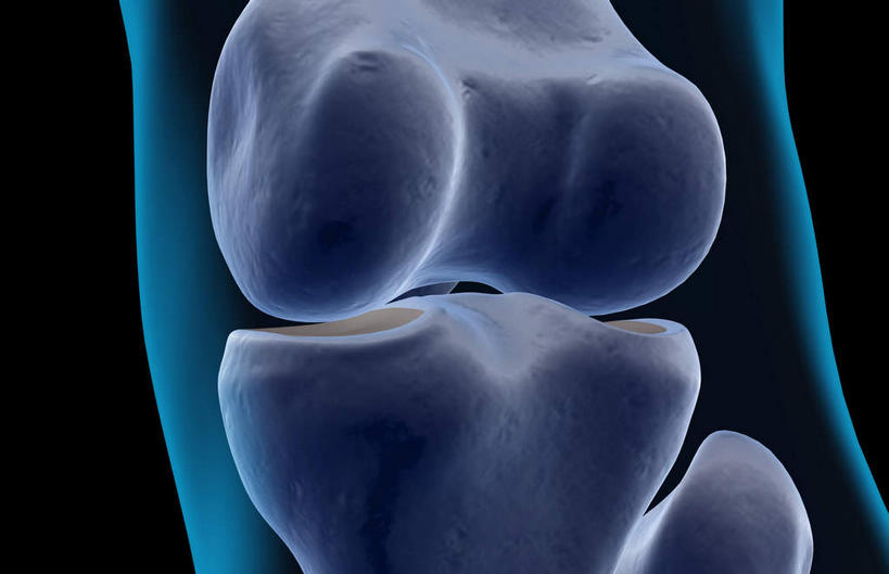 神经,动脉,静脉,骨骼,无人,横图,插画,x光片,室内,特写,白天,正面,数码,科技,静物,阴影,黑色背景,辐射,科学,网络,医学,骨头,高光,几何,计算机图形,合成,图画,画,蓝色,模型,人体,电脑合成图,数码合成图,骨架,医疗,生物学,科学技术,x射线,x光,漫画,生理学,写实,具体,具象,髌骨,胫骨,半身,彩图,神经系统,电磁波,电磁辐射