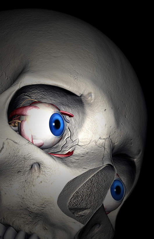 眼睛,动脉,静脉,骨骼,肌肉,健壮,无人,竖图,插画,x光片,室内,特写,白天,正面,数码,科技,静物,瞳孔,阴影,黑色背景,辐射,科学,网络,医学,支架,骨头,高光,几何,计算机图形,合成,图画,画,模型,健康,活力,力量,人体,眼部,青春,电脑合成图,数码合成图,头颅,骨架,医疗,生物学,科学技术,x射线,强壮,x光,漫画,生理学,写实,具体,具象,眼,半身,彩图,电磁波,电磁辐射