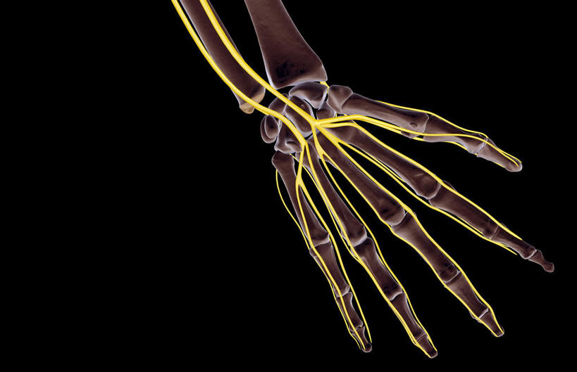 神经,动脉,静脉,骨骼,无人,横图,插画,x光片,室内,特写,白天,正面,数码,科技,静物,张开,阴影,黑色背景,辐射,科学,网络,医学,线条,支架,骨头,高光,几何,计算机图形,合成,图画,画,一只,黄色,模型,手指,人体,电脑合成图,数码合成图,骨架,医疗,生物学,科学技术,x射线,筋脉,x光,漫画,生理学,写实,具体,具象,掌骨,指骨,半身,彩图,电磁波,电磁辐射