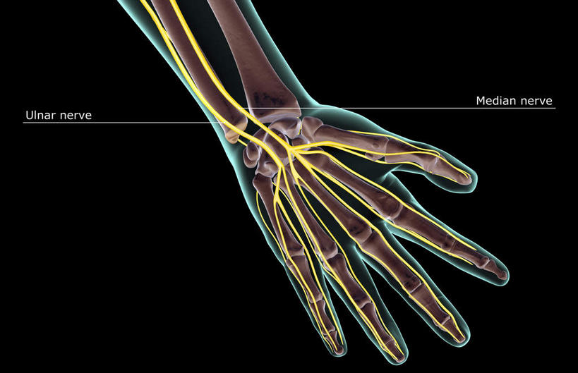 神经,动脉,静脉,骨骼,无人,横图,插画,x光片,室内,特写,白天,正面,数码,科技,静物,张开,阴影,黑色背景,辐射,科学,网络,医学,英文,标志,文字,线条,支架,字符,字母,骨头,高光,几何,计算机图形,合成,图画,标识,画,一只,黄色,模型,手指,人体,英文字母,电脑合成图,数码合成图,骨架,医疗,生物学,科学技术,x射线,筋脉,x光,漫画,生理学,写实,具体,具象,掌骨,指骨,半身,彩图,电磁波,电磁辐射