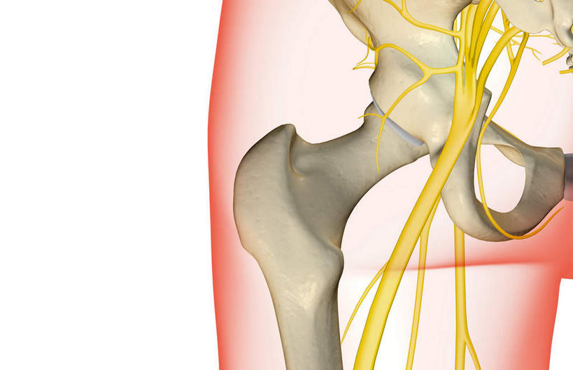 神经,动脉,静脉,骨骼,无人,横图,插画,室内,特写,白天,白色背景,正面,数码,科技,静物,阴影,网络,医学,线条,支架,骨头,高光,几何,计算机图形,合成,图画,画,黄色,模型,身体,人体,轮廓,电脑合成图,数码合成图,骨架,生物学,筋脉,漫画,生理学,写实,具体,具象,腰部,半身,彩图
