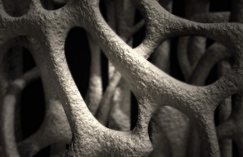 动脉,静脉,骨骼,无人,横图,插画,x光片,室内,特写,白天,正面,数码,科技,静物,一堆,阴影,堆叠,堆积,黑色背景,辐射,科学,网络,医学,支架,骨头,高光,几何,计算机图形,合成,图画,画,白色,模型,人体,堆,电脑合成图,数码合成图,骨架,医疗,生物学,科学技术,x射线,x光,漫画,生理学,写实,具体,具象,骨质疏松,彩图,电磁波,电磁辐射