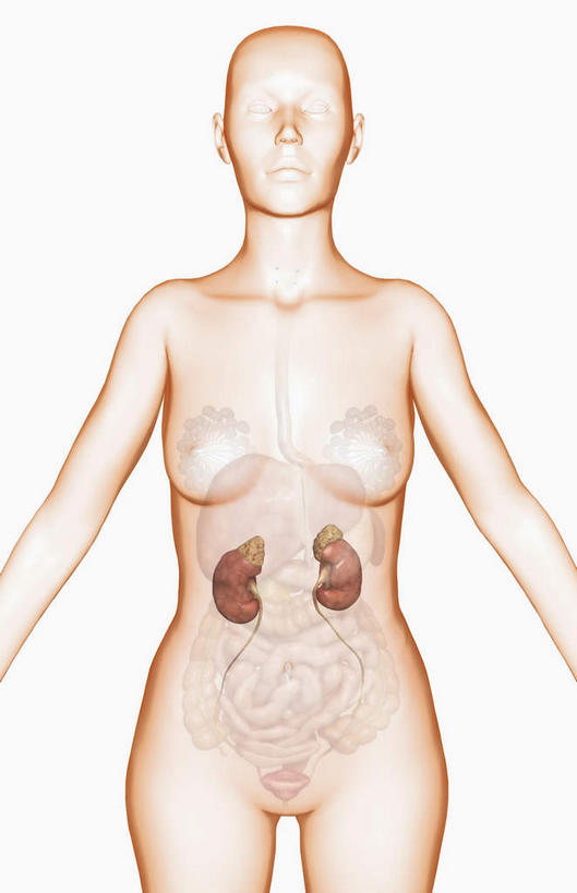 胸,肌肉,健壮,无人,站,伸展双臂,竖图,插画,室内,特写,白天,正面,数码,科技,阴影,网络,高光,几何,计算机图形,合成,图画,注视,画,观察,看,站着,健康,活力,力量,观看,青春,电脑合成图,数码合成图,察看,伸出,强壮,关注,漫画,写实,具体,具象,肾,胸部,敞开双臂,展开双肩,站立,张开手臂,张开双臂,半身,彩图