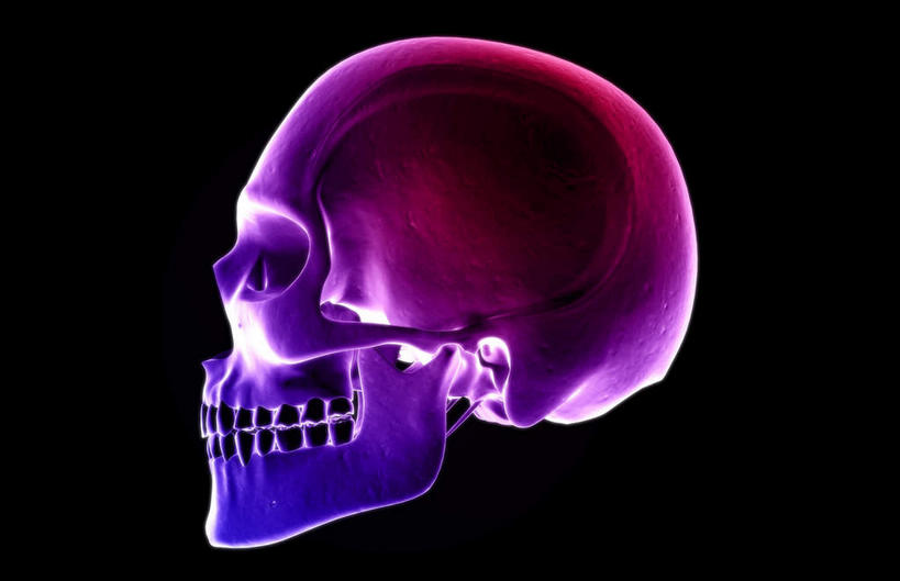 牙齿,动脉,静脉,骨骼,无人,横图,插画,室内,特写,白天,正面,数码,科技,静物,阴影,黑色背景,辐射,科学,网络,医学,骨头,高光,几何,计算机图形,合成,图画,画,模型,人体,电脑合成图,数码合成图,头颅,骨架,生物学,科学技术,x射线,x光,漫画,生理学,写实,具体,具象,齿,牙,牙龈,彩图,电磁波,电磁辐射