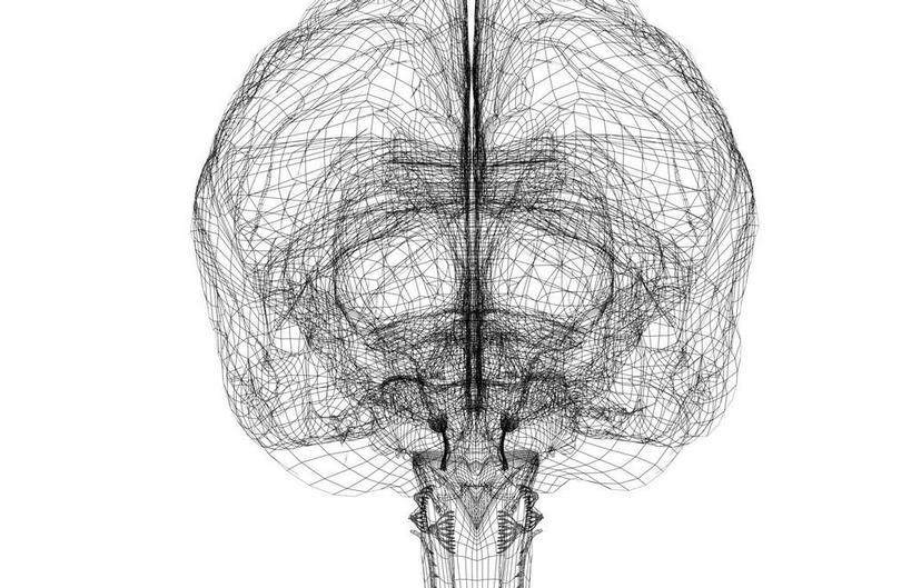 动脉,静脉,脊椎,无人,横图,黑白,插画,x光片,室内,白天,白色背景,正面,数码,科技,静物,大脑,阴影,辐射,科学,网络,医学,高光,几何,计算机图形,合成,图画,画,模型,人体,电脑合成图,数码合成图,医疗,生物学,科学技术,x射线,器官,沟壑,x光,漫画,小脑,脑干,生理学,写实,具体,具象,大脑皮层,端脑,沟,灰质,回,间脑,电磁波,电磁辐射