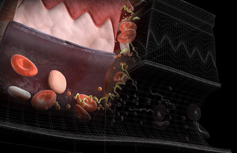 无人,横图,插画,室内,特写,白天,正面,数码,科技,静物,阴影,网络,血,医学,细胞,高光,几何,计算机图形,合成,图画,画,血液,人体,电脑合成图,数码合成图,生物学,漫画,生理学,写实,具体,具象,血块,肾,彩图