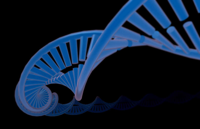 动脉,静脉,骨骼,无人,横图,插画,x光片,室内,特写,白天,正面,数码,科技,静物,阴影,黑色背景,辐射,科学,网络,基因,医学,支架,骨头,高光,几何,计算机图形,合成,图画,画,蓝色,模型,生物,人体,遗传,电脑合成图,数码合成图,骨架,医疗,生物学,科学技术,x射线,脱氧核糖核酸,x光,漫画,DNA双螺旋结构,生理学,写实,具体,具象,DNA分子,去氧核糖核酸,遗传信息,遗传因子,遗传学,彩图,电磁波,电磁辐射