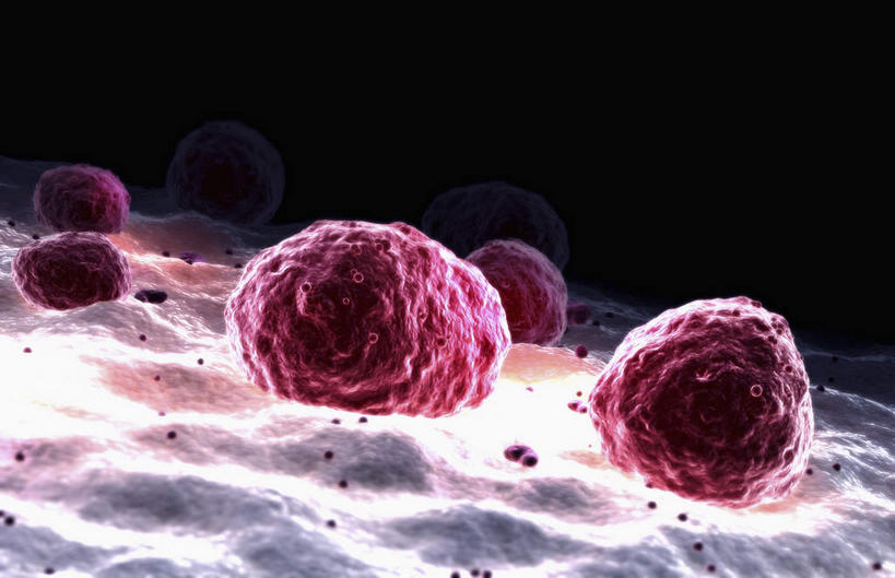 无人,横图,插画,室内,特写,白天,正面,数码,科技,静物,许多,阴影,黑色背景,网络,医学,细胞,高光,几何,计算机图形,合成,图画,画,红色,人体,电脑合成图,数码合成图,生物学,血小板,漫画,生理学,写实,具体,具象,巨核细胞,彩图