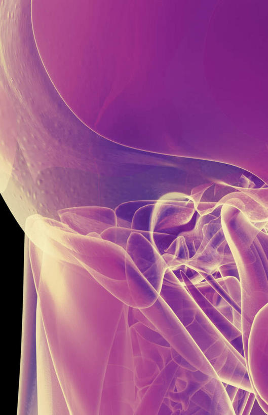 耳朵,动脉,静脉,骨骼,无人,竖图,插画,x光片,室内,特写,白天,正面,数码,科技,静物,阴影,黑色背景,辐射,科学,网络,医学,骨头,高光,几何,计算机图形,合成,图画,画,模型,人体,电脑合成图,数码合成图,头颅,骨架,生物学,科学技术,x射线,x光,漫画,生理学,写实,具体,具象,顶骨,后脑,耳,耳部,半身,彩图,电磁波,电磁辐射