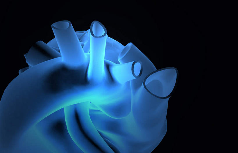 内脏,肺,气管,心脏,神经,动脉,静脉,无人,横图,插画,x光片,室内,特写,白天,正面,数码,科技,静物,阴影,黑色背景,辐射,科学,网络,医学,高光,几何,计算机图形,合成,图画,画,蓝色,模型,人体,电脑合成图,数码合成图,医疗,生物学,科学技术,x射线,器官,筋脉,x光,漫画,支气管,神经元,心血管,心房,心室,生理学,写实,具体,具象,冠状动脉,冠心病,肺部,肺脏,心,彩图,神经系统,电磁波,电磁辐射