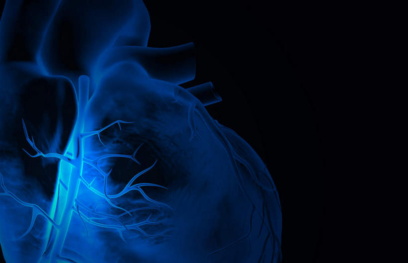 内脏,肺,气管,心脏,神经,动脉,静脉,无人,横图,插画,x光片,室内,特写,白天,正面,数码,科技,静物,阴影,黑色背景,辐射,科学,网络,医学,高光,几何,计算机图形,合成,图画,画,蓝色,模型,人体,电脑合成图,数码合成图,医疗,生物学,科学技术,x射线,器官,筋脉,x光,漫画,支气管,神经元,心血管,心房,心室,生理学,写实,具体,具象,冠状动脉,冠心病,肺部,肺脏,心,彩图,神经系统,电磁波,电磁辐射