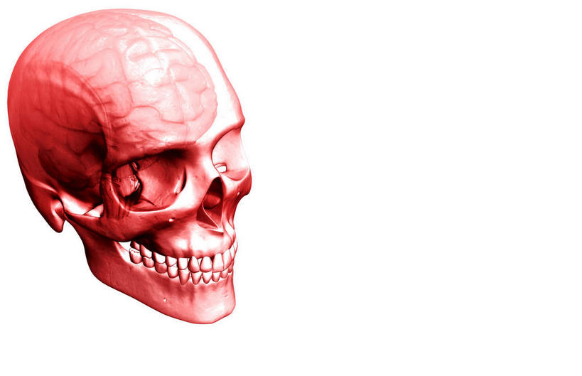 脸,头,脸颊,骨骼,无人,横图,插画,室内,特写,白天,白色背景,正面,数码,科技,阴影,网络,骨头,高光,几何,计算机图形,合成,图画,画,红色,电脑合成图,数码合成图,头颅,骨架,漫画,写实,具体,具象,顶骨,颧骨,头部,脸部,脸蛋,面部,彩图