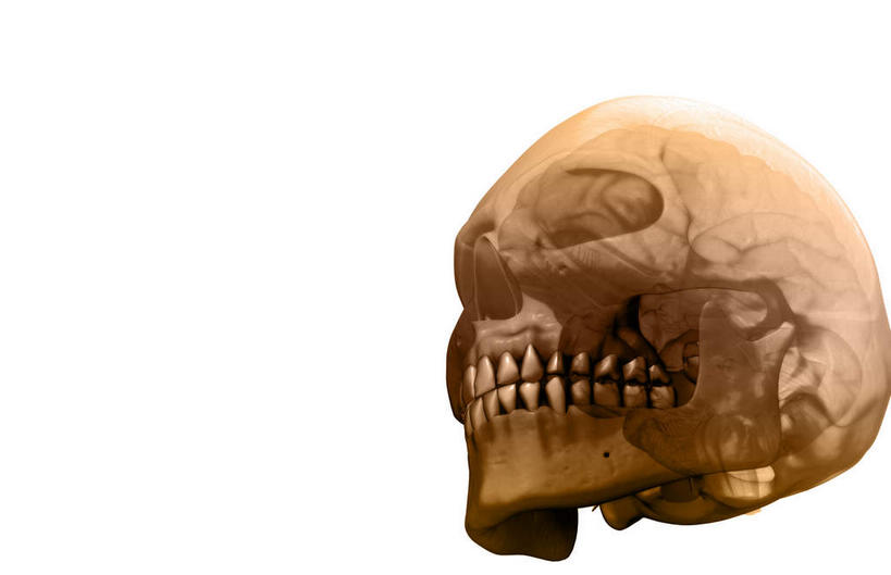 脸,头,脸颊,骨骼,无人,横图,插画,室内,特写,白天,白色背景,正面,数码,科技,阴影,网络,骨头,高光,几何,计算机图形,合成,图画,画,灰色,电脑合成图,数码合成图,头颅,骨架,漫画,写实,具体,具象,顶骨,颧骨,头部,脸部,脸蛋,面部,彩图