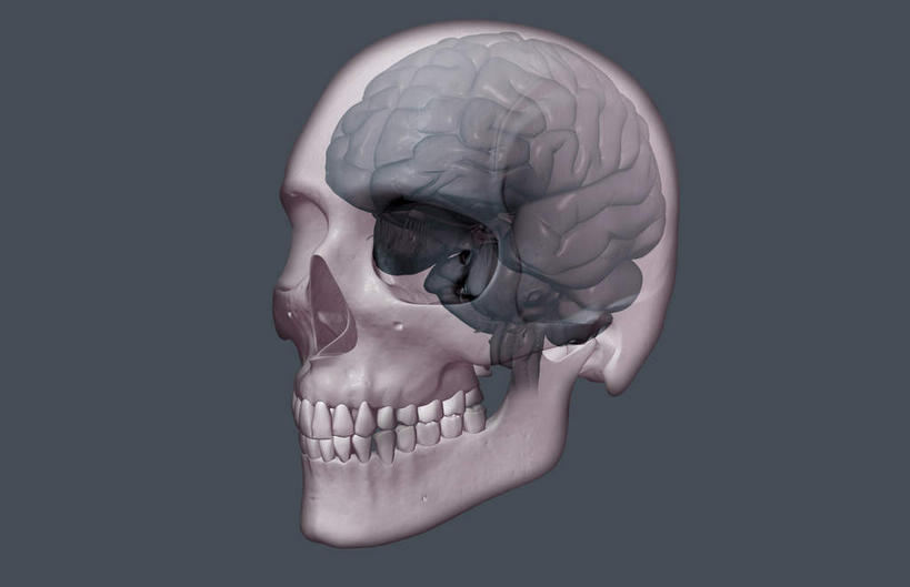 脸,头,脸颊,骨骼,无人,横图,插画,室内,特写,白天,白色背景,正面,数码,科技,阴影,网络,骨头,高光,几何,计算机图形,合成,图画,画,灰色,电脑合成图,数码合成图,头颅,骨架,漫画,写实,具体,具象,顶骨,颧骨,头部,脸部,脸蛋,面部,彩图