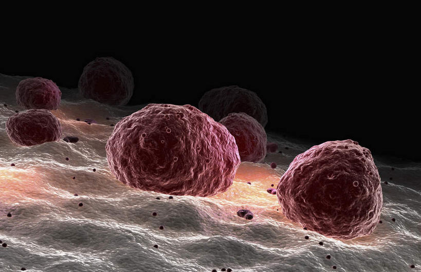 无人,横图,插画,室内,特写,白天,正面,数码,科技,静物,许多,阴影,黑色背景,网络,医学,细胞,高光,几何,计算机图形,合成,图画,画,红色,人体,电脑合成图,数码合成图,生物学,血小板,漫画,生理学,写实,具体,具象,巨核细胞,彩图