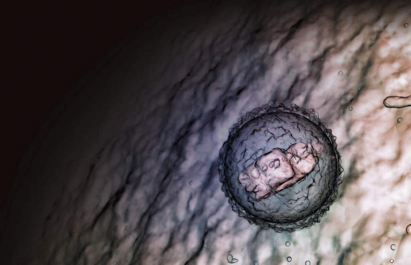 无人,横图,插画,室内,白天,正面,数码,科技,静物,阴影,黑色背景,网络,医学,细胞,高光,几何,计算机图形,合成,图画,画,人体,电脑合成图,数码合成图,生物学,血细胞,漫画,白细胞,生理学,写实,具体,具象,淋巴系统,淋巴细胞,淋巴,淋巴管,淋巴液,淋巴组织,免疫组织,彩图