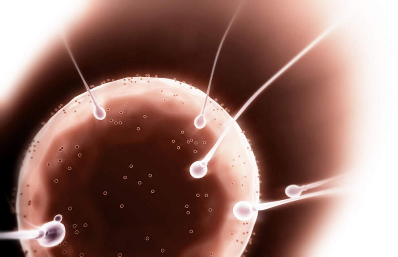 无人,横图,插画,室内,白天,正面,数码,科技,静物,许多,阴影,黑色背景,网络,医学,细胞,高光,几何,计算机图形,合成,图画,画,精子,人体,电脑合成图,数码合成图,生育,生物学,漫画,生理学,写实,具体,具象,受精,生殖细胞,彩图,受精卵