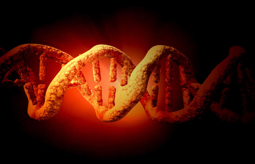 无人,竖图,室内,白天,正面,数码,科技,阴影,黑色背景,发光,科学,网络,基因,高光,几何,计算机图形,合成,红色,生物,遗传,电脑合成图,数码合成图,脱氧核糖核酸,写实,具体,具象,DNA分子,去氧核糖核酸,遗传信息,遗传因子,遗传学,DNA双螺旋,彩图