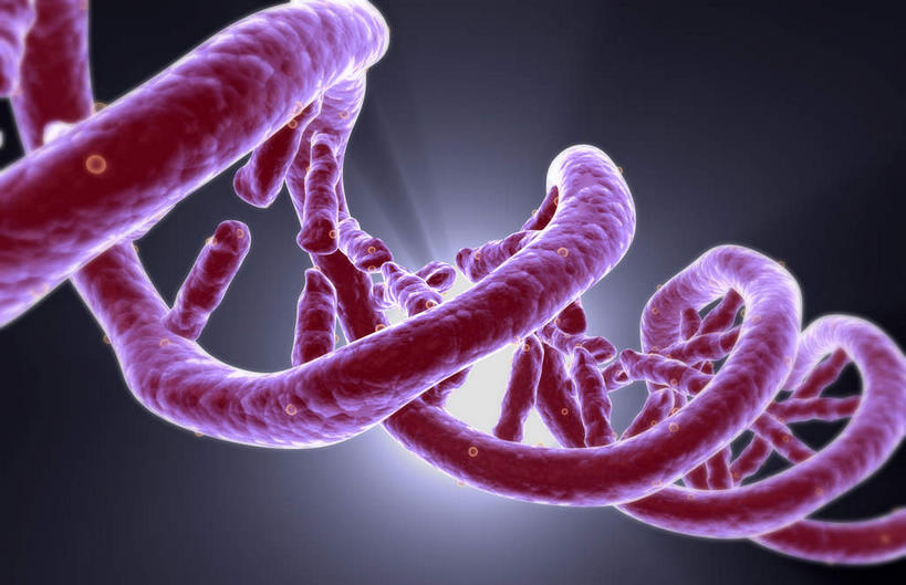 无人,竖图,室内,白天,正面,数码,科技,阴影,黑色背景,发光,科学,网络,基因,高光,几何,计算机图形,合成,红色,生物,遗传,电脑合成图,数码合成图,脱氧核糖核酸,写实,具体,具象,DNA分子,去氧核糖核酸,遗传信息,遗传因子,遗传学,DNA双螺旋,彩图