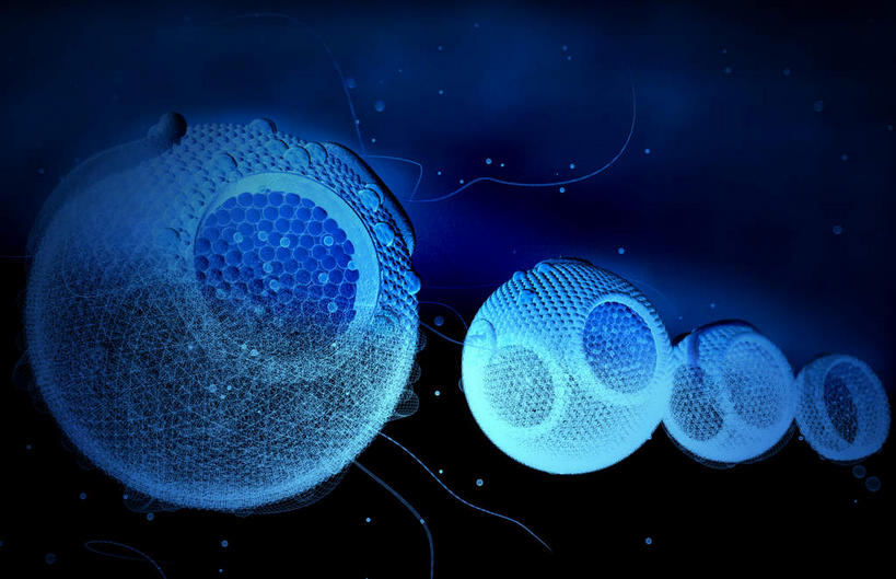 无人,竖图,室内,白天,正面,数码,科技,静物,一堆,阴影,堆叠,堆积,黑色背景,网络,医学,细胞,高光,几何,计算机图形,合成,蓝色,人体,堆,电脑合成图,数码合成图,生物学,蛋白质,生理学,写实,具体,具象,脂蛋白,彩图