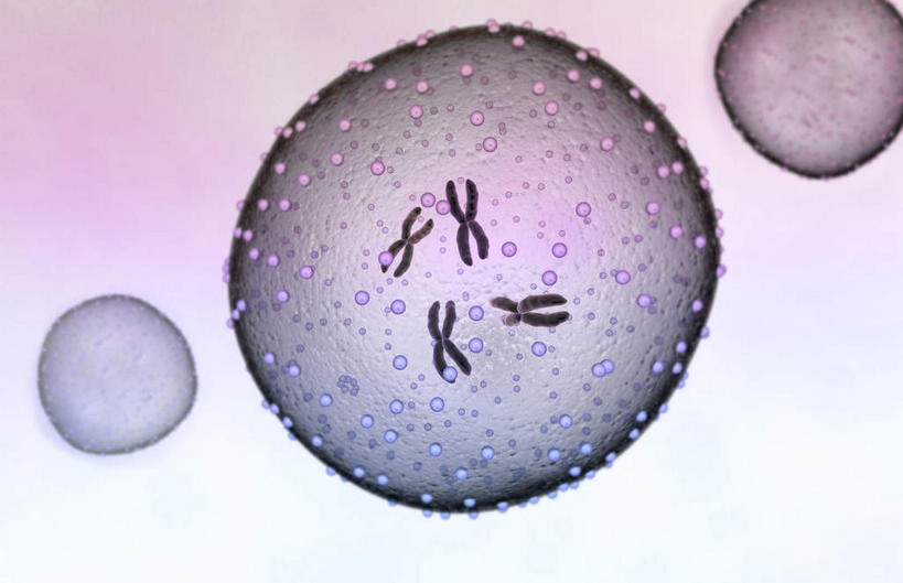 无人,竖图,室内,白天,正面,数码,科技,阴影,粉色背景,科学,网络,基因,细胞核,染色体,细胞,高光,几何,计算机图形,合成,白色,生物,遗传,电脑合成图,数码合成图,脱氧核糖核酸,破裂,蛋白质,分裂,写实,具体,具象,核糖核酸,染色质,遗传信息,遗传因子,遗传学,割裂,盘据,彩图,决裂