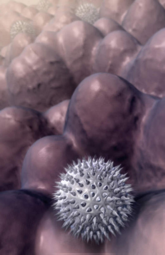 无人,竖图,室内,白天,正面,数码,科技,阴影,网络,高光,几何,计算机图形,合成,白色,球体,电脑合成图,数码合成图,疾病,哮喘,花粉,过敏,写实,具体,具象,花粉症,彩图,花粉粒