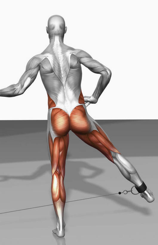 肌肉,健壮,一个人,无人,站,竖图,室内,白天,白色背景,锻炼,运动,数码,科技,仅一个男性,仅一个人,阴影,网络,高光,几何,计算机图形,合成,抬腿,手叉腰,仅一个年轻男性,背面,绳子,叉腰,站着,健康,活力,力量,青春,电脑合成图,数码合成图,线圈,强壮,脚链,写实,具体,具象,腓肠肌,三角肌,股二头肌,体育,男人,男性,年轻男性,站立,彩图,全身,健身