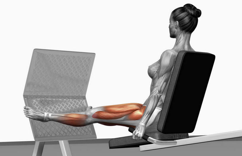 肌肉,健壮,一个人,无人,坐,竖图,室内,白天,白色背景,侧面,锻炼,运动,数码,科技,椅子,仅一个年轻女性,仅一个女性,仅一个人,阴影,网络,高光,几何,计算机图形,合成,靠,靠着,健康,活力,力量,伸直,青春,电脑合成图,数码合成图,强壮,写实,具体,具象,股四头肌,腹直肌,体育,年轻女性,女人,女性,坐着,彩图,全身,健身