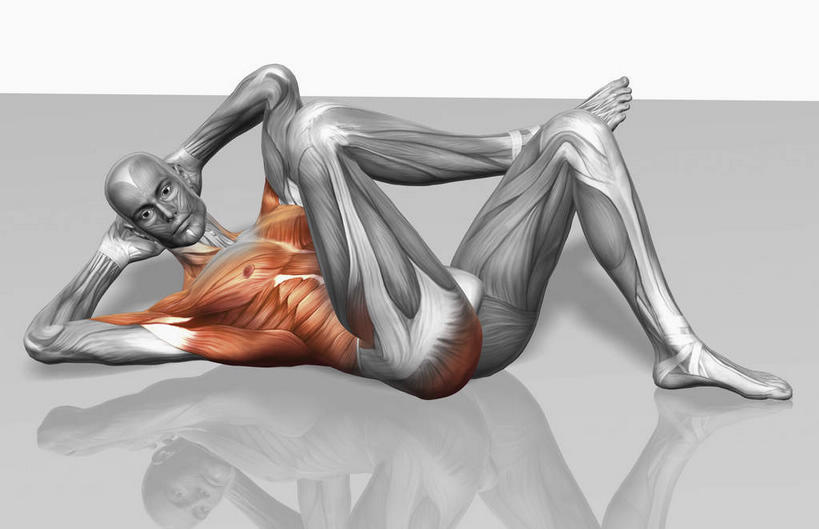 肌肉,健壮,一个人,无人,躺,举,竖图,室内,白天,白色背景,侧面,锻炼,运动,数码,科技,仅一个男性,仅一个人,抱头,阴影,反射,网络,影子,高光,几何,计算机图形,合成,注视,仅一个年轻男性,观察,看,托,健康,活力,力量,观看,青春,电脑合成图,数码合成图,察看,强壮,关注,胸肌,写实,具体,具象,捧首,捧头,背阔肌,三角肌,胸锁乳突肌,腹直肌,卧着,体育,男人,男性,年轻男性,举起,举手,举着,躺着,卧,向上举,向上伸,向上托,彩图,全身,健身