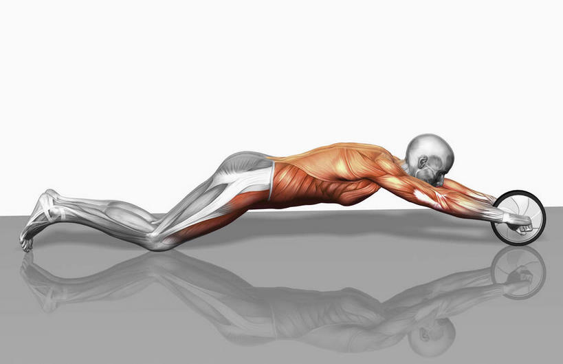 肌肉,健壮,一个人,无人,竖图,室内,白天,白色背景,侧面,锻炼,运动,数码,科技,仅一个男性,仅一个人,握,阴影,反射,网络,影子,高光,几何,计算机图形,拿,合成,拿着,运动器械,仅一个年轻男性,趴着,健康,健身器械,活力,力量,拉伸,握着,青春,电脑合成图,数码合成图,强壮,胸肌,健身器材,写实,具体,具象,背阔肌,二头肌,三角肌,腹直肌,AB轮,腹肌轮,健腹轮,健身轮,体育,男人,男性,年轻男性,趴,彩图,全身,健身,运动器材