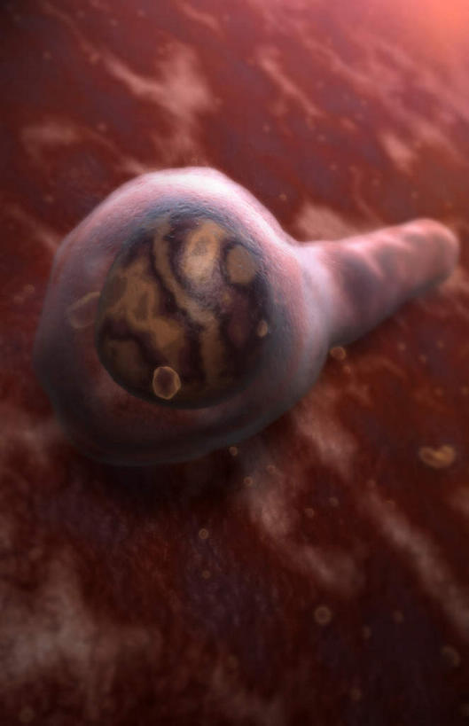 无人,竖图,插画,室内,白天,正面,数码,科技,静物,阴影,网络,医学,细胞,高光,几何,计算机图形,合成,图画,画,红色,人体,电脑合成图,数码合成图,生物学,漫画,生理学,写实,具体,具象,破伤风杆菌,破伤风,彩图