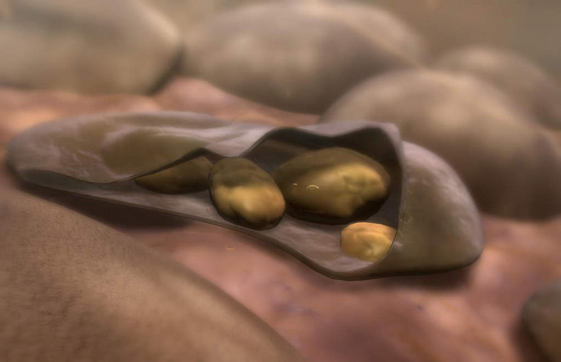 无人,横图,插画,室内,白天,正面,数码,科技,微生物,静物,阴影,网络,医学,细胞,高光,几何,计算机图形,合成,图画,画,人体,电脑合成图,数码合成图,疾病,生物学,漫画,生理学,写实,具体,具象,寄生,生命体,疟疾,致命,疟原虫,彩图