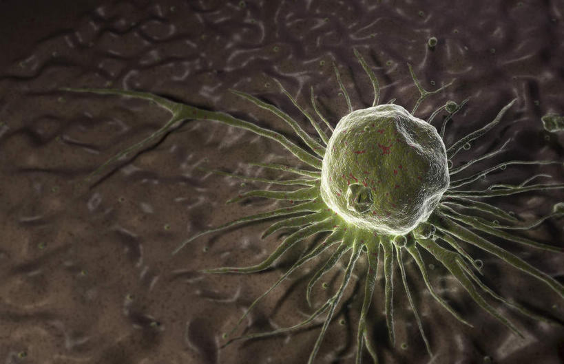 无人,横图,插画,室内,特写,白天,正面,数码,科技,静物,阴影,网络,医学,细胞,高光,几何,计算机图形,合成,图画,画,一个,黄色,人体,单个,电脑合成图,数码合成图,生物学,漫画,生理学,写实,具体,具象,彩图,干细胞