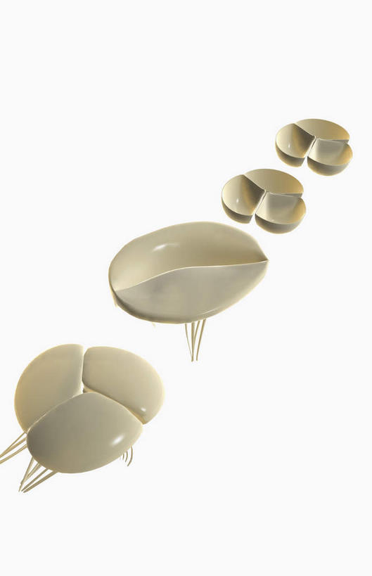 内脏,心脏,动脉,静脉,无人,竖图,插画,室内,白天,白色背景,正面,数码,科技,静物,一排,阴影,整齐,网络,医学,高光,几何,计算机图形,合成,图画,画,排列,一个,白色,模型,人体,单个,电脑合成图,数码合成图,生物学,人体器官,器官,队列,漫画,生理学,写实,具体,具象,心脏瓣膜,二尖瓣,房室瓣,主动脉瓣,心,彩图