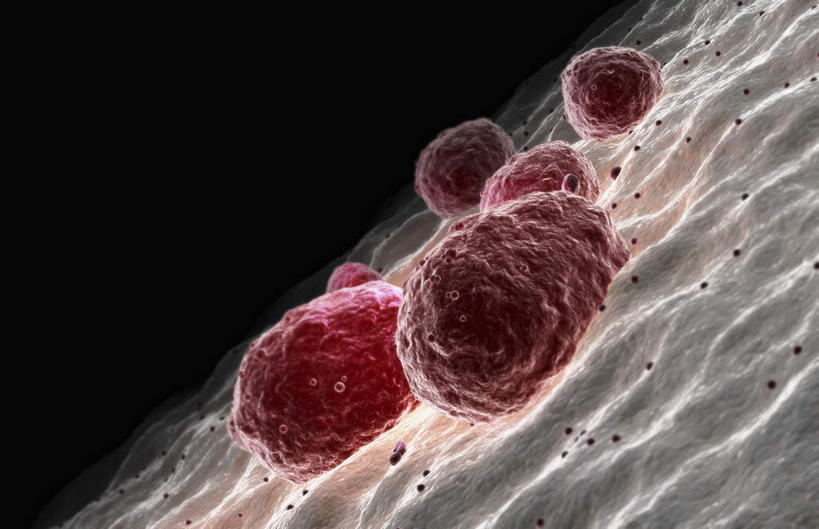 无人,横图,插画,室内,特写,白天,正面,数码,科技,静物,阴影,黑色背景,网络,医学,细胞,高光,几何,计算机图形,合成,图画,画,人体,电脑合成图,数码合成图,生物学,漫画,生理学,写实,具体,具象,巨核细胞,彩图