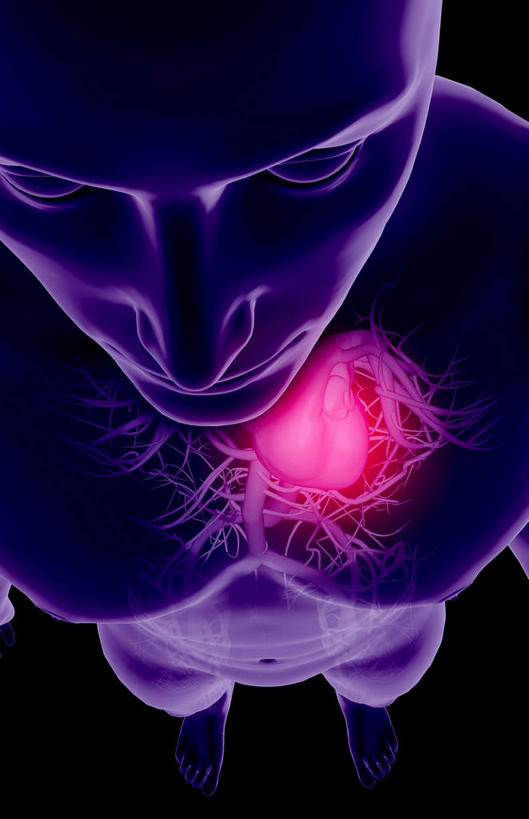 内脏,心脏,动脉,静脉,无人,竖图,室内,特写,白天,正面,数码,科技,静物,阴影,黑色背景,局部,网络,光芒,高光,几何,计算机图形,合成,紫色,模型,人体,皮肤,部分,电脑合成图,数码合成图,生物学,器官,心血管,心房,心室,生理学,写实,具体,具象,下腔静脉,腔​​静脉,心,半身,彩图