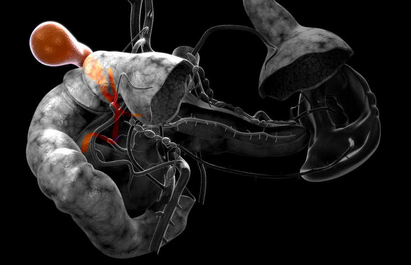 内脏,动脉,静脉,无人,横图,插画,室内,特写,白天,正面,数码,科技,静物,阴影,黑色背景,网络,医学,高光,几何,计算机图形,合成,图画,画,模型,人体,电脑合成图,数码合成图,生物学,人体器官,器官,漫画,生理学,写实,具体,具象,胆,彩图,消化系统