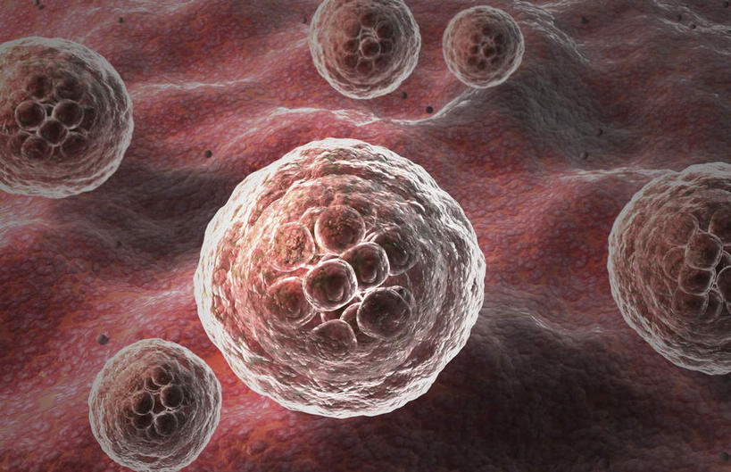 无人,横图,插画,室内,特写,白天,正面,数码,科技,静物,阴影,网络,红血球,医学,细胞,高光,几何,计算机图形,合成,图画,画,人体,电脑合成图,数码合成图,生物学,漫画,生理学,写实,具体,具象,彩图