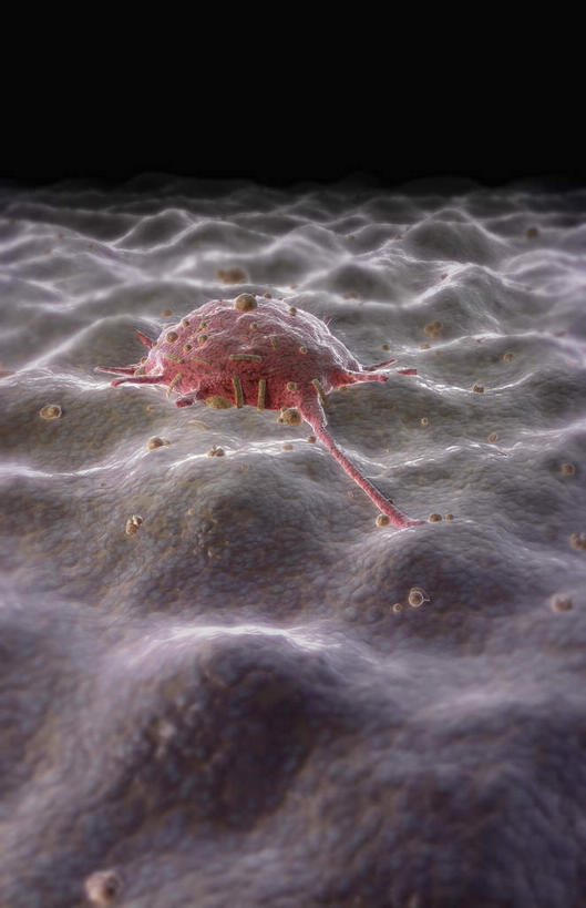 无人,竖图,插画,室内,特写,白天,正面,数码,科技,静物,阴影,网络,医学,细胞,高光,几何,计算机图形,合成,图画,画,人体,电脑合成图,数码合成图,生物学,漫画,白细胞,生理学,写实,具体,具象,白血球,彩图