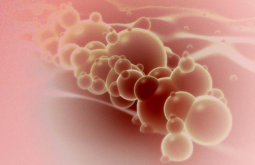 无人,横图,插画,室内,特写,白天,正面,数码,科技,静物,阴影,网络,医学,颗粒,细胞,高光,几何,计算机图形,合成,图画,画,人体,电脑合成图,数码合成图,生物学,漫画,生理学,写实,具体,具象,乳胶,乳胶粒子,乳胶微粒,彩图