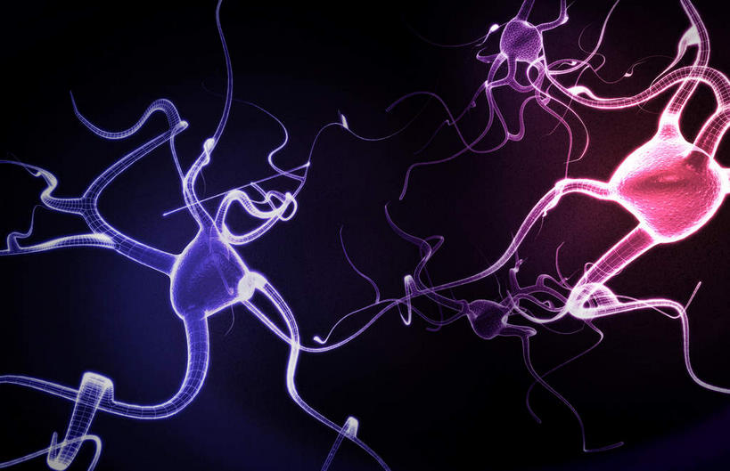 神经,无人,横图,插画,室内,特写,白天,正面,数码,科技,静物,阴影,网络,医学,细胞,枝条,光芒,高光,几何,计算机图形,合成,图画,画,分叉,人体,电脑合成图,数码合成图,生物学,漫画,生理学,写实,具体,具象,树突,神经细胞,运动神经元,彩图,神经系统