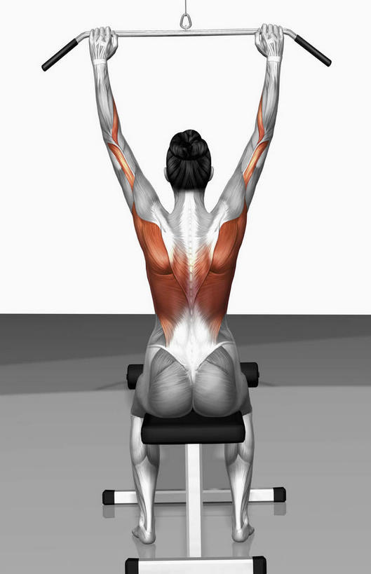 动脉,静脉,骨骼,肌肉,健壮,无人,坐,拉,举,竖图,插画,室内,特写,白天,白色背景,侧面,锻炼,运动,数码,科技,静物,握,阴影,网络,医学,骨头,高光,几何,计算机图形,拿,合成,图画,拿着,娱乐,画,模型,托,享受,休闲,健康,放松,活力,力量,握着,人体,青春,电脑合成图,数码合成图,骨架,生物学,强壮,漫画,室内运动,生理学,写实,具体,具象,重量训练,举起,举手,举着,向上举,向上伸,向上托,坐着,彩图,全身,健身