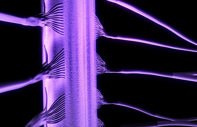 神经,动脉,静脉,无人,竖图,插画,室内,特写,白天,正面,数码,科技,静物,阴影,黑色背景,网络,医学,高光,几何,计算机图形,合成,图画,画,人体,电脑合成图,数码合成图,生物学,漫画,生理学,写实,具体,具象,颈椎,颈部神经,腹侧神经根,脊髓神经,彩图