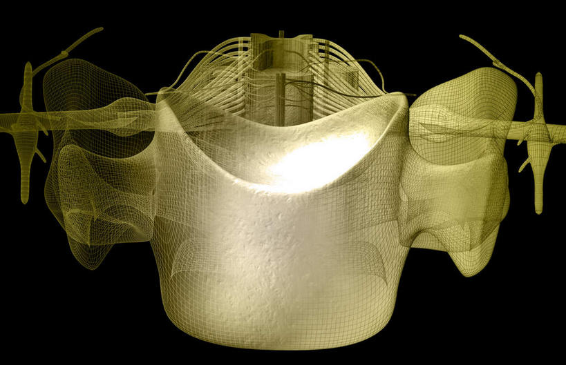 神经,动脉,静脉,无人,竖图,插画,室内,特写,白天,正面,数码,科技,静物,阴影,网络,医学,高光,几何,计算机图形,合成,图画,画,人体,电脑合成图,数码合成图,生物学,漫画,生理学,写实,具体,具象,背根神经节,软脑膜,硬膜,背侧神经根,腹侧神经根,前角,椎体​​,彩图