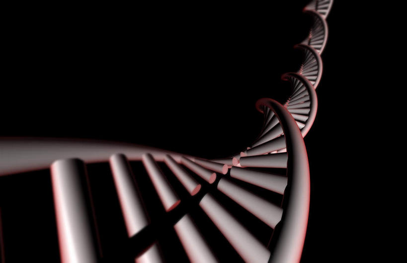 无人,横图,插画,室内,特写,白天,正面,数码,科技,静物,阴影,黑色背景,科学,网络,基因,细胞核,医学,染色体,高光,几何,计算机图形,合成,图画,画,生物,人体,遗传,电脑合成图,数码合成图,生物学,脱氧核糖核酸,蛋白质,漫画,生理学,写实,具体,具象,DNA分子,核糖核酸,去氧核糖核酸,染色质,遗传信息,遗传因子,遗传学,彩图