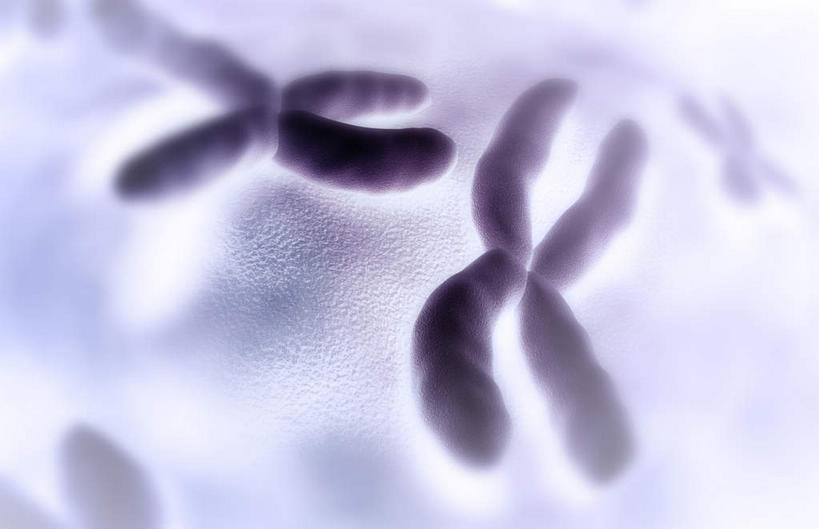 无人,横图,插画,室内,特写,白天,白色背景,正面,数码,科技,静物,阴影,科学,网络,基因,细胞核,医学,染色体,细胞,高光,几何,计算机图形,合成,图画,画,生物,人体,遗传,电脑合成图,数码合成图,生物学,脱氧核糖核酸,蛋白质,漫画,生理学,写实,具体,具象,DNA分子,核糖核酸,去氧核糖核酸,染色质,遗传信息,遗传因子,遗传学,彩图