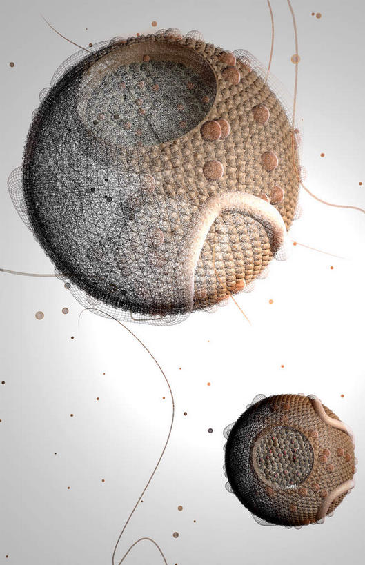 无人,竖图,插画,室内,特写,白天,正面,数码,科技,静物,阴影,黑色背景,网络,医学,细胞,高光,几何,计算机图形,合成,图画,画,人体,电脑合成图,数码合成图,生物学,漫画,生理学,写实,具体,具象,胆固醇,高密度脂蛋白,脂蛋白,彩图