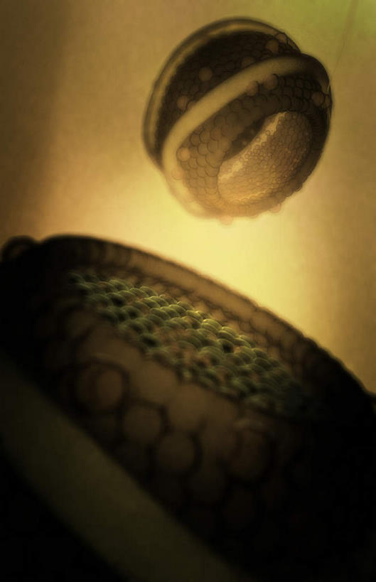 无人,竖图,插画,室内,特写,白天,正面,数码,科技,静物,阴影,黑色背景,网络,医学,细胞,高光,几何,计算机图形,合成,图画,画,人体,电脑合成图,数码合成图,生物学,漫画,生理学,写实,具体,具象,胆固醇,低密度脂蛋白,脂蛋白,彩图