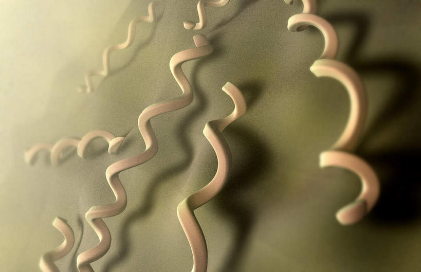 无人,横图,插画,室内,特写,白天,白色背景,正面,数码,科技,静物,阴影,网络,医学,细胞,高光,几何,计算机图形,合成,图画,画,人体,电脑合成图,数码合成图,性传播疾病,疾病,生物学,漫画,生理学,写实,具体,具象,传染,梅毒,梅毒螺旋体,性病,彩图