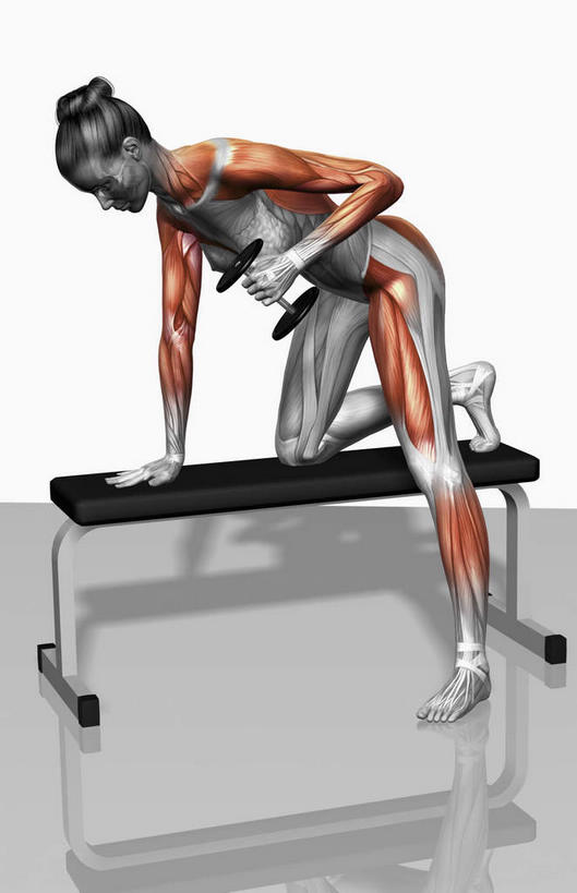 西方人,动脉,静脉,骨骼,肌肉,健壮,一个人,无人,健身房,跪,竖图,插画,室内,特写,白天,白色背景,侧面,数码,科技,静物,欧洲,欧洲人,仅一个年轻女性,仅一个女性,仅一个人,撑,弯腰,阴影,网络,医学,骨头,高光,几何,计算机图形,合成,图画,注视,画,模型,观察,看,健康,活力,力量,人体,观看,青春,电脑合成图,数码合成图,骨架,察看,生物学,撑着,强壮,关注,胸肌,漫画,生理学,写实,具体,具象,弯身,背阔肌,三角肌,胸锁乳突肌,腹外斜肌,腹直肌,年轻女性,女人,女性,白种人,跪着,彩图,全身,健身馆